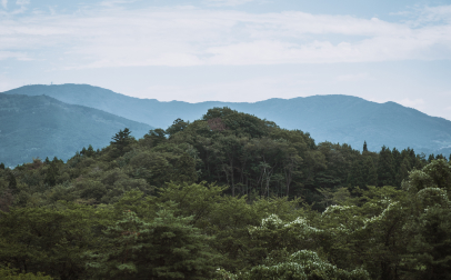金鶏山